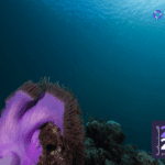 Design of Sustainability Report